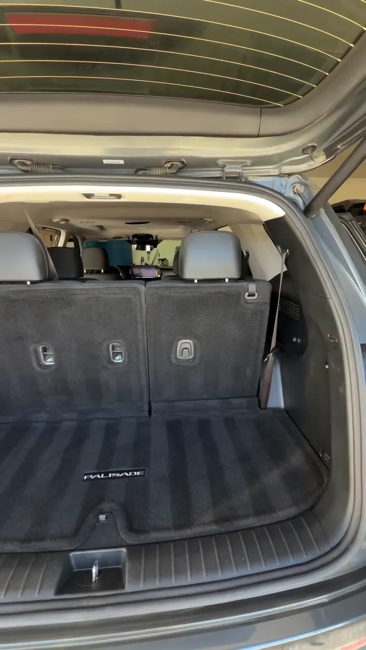 Palisade trunk, cleaned and striped